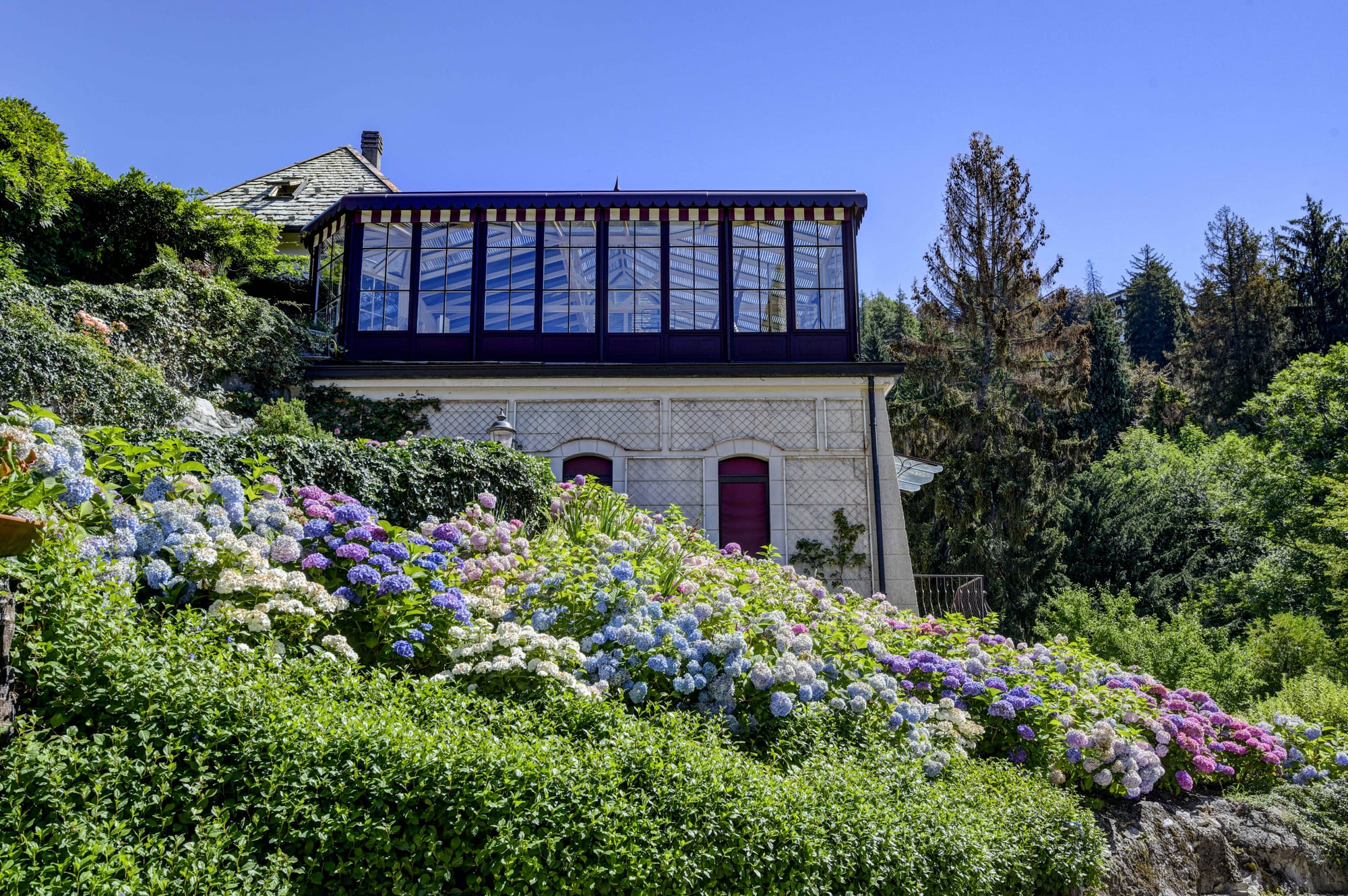 Conservatory with hydrangeas at Villino Rubini
